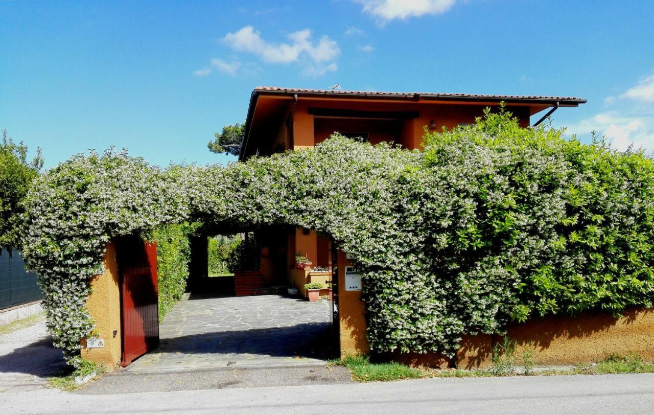 Villa Il Gelsomino Forte dei Marmi Exterior foto