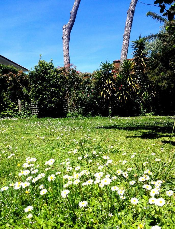 Villa Il Gelsomino Forte dei Marmi Exterior foto